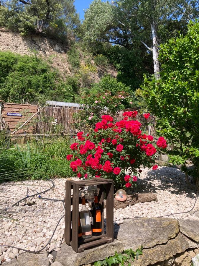 Le Mas Aux Aromes Puget Εξωτερικό φωτογραφία
