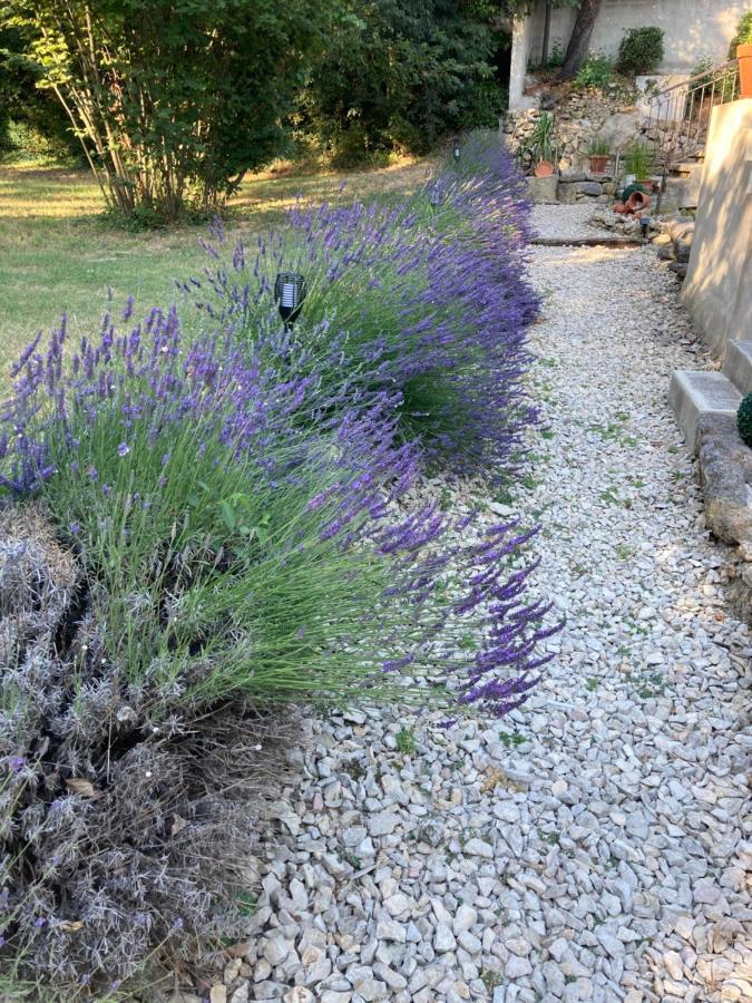 Le Mas Aux Aromes Puget Εξωτερικό φωτογραφία