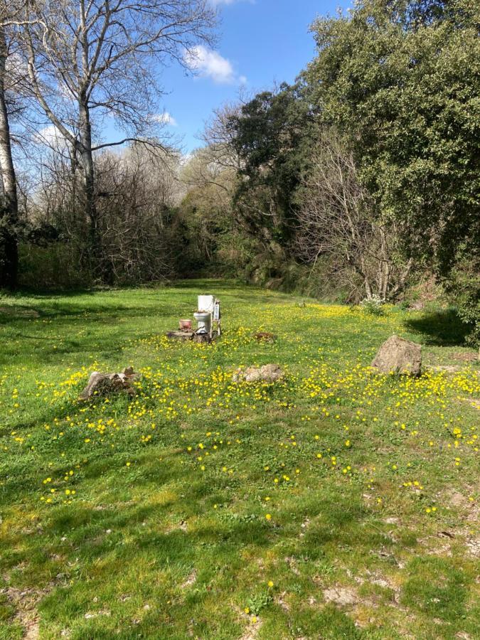 Le Mas Aux Aromes Puget Εξωτερικό φωτογραφία